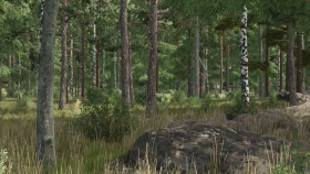 Ever Green Coast Map for FS25