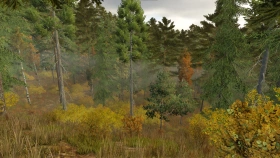 Ever Green Coast Map for FS25