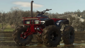 Lizard Fourtrax 300 for FS25
