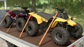 Lizard Banshee 350 for FS25