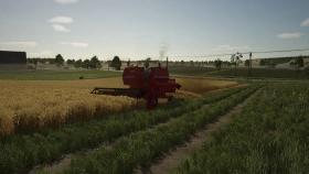 Massey Ferguson 310 Harvester for FS25