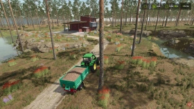 Ponderosa Pine Forest Map for FS25