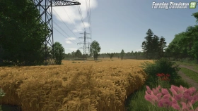 Starowies Map for FS25