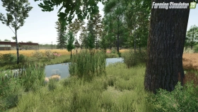 Starowies Map for FS25
