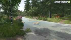 Starowies Map for FS25