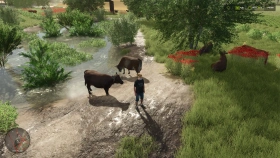 Baraitaru Map for FS25