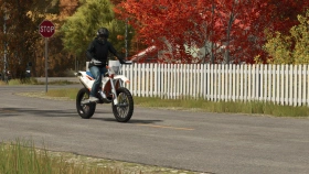 Lizard 350 EXCF for FS25