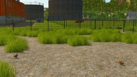Lucid Valley Map for FS25
