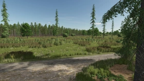Sunshine Forest Map for FS25