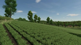 Feliz Map for FS25