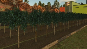 Fruit orchards for FS25