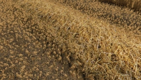 Realistic Straw Texture for FS25
