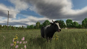 Rhönplateu Map for FS25