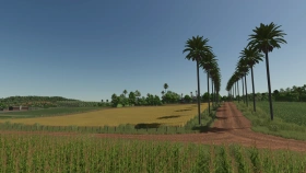BR-163, MS Brazil Map for FS25