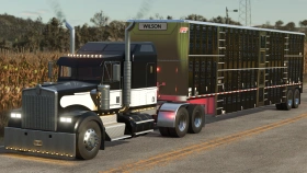 Kenworth (Lizard) W900B for FS25