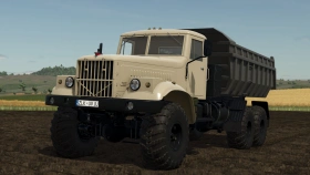 LIZARD 255 Truck for FS25