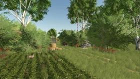 Mała Polska Map for FS25