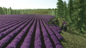 Pacovsko Map for FS25