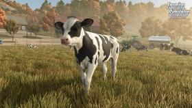 Farming Simulator 25: Signature Edition