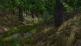 Palatinate Forest Map for FS25