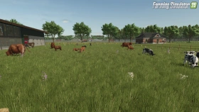 Starbuck, MN Map for FS25