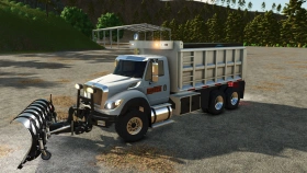 International Workstar Truck for FS25