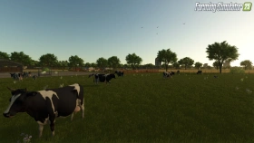 The Elm Rochester Map for FS25