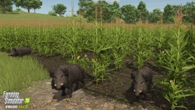 Vredo Pack DLC - Overseeding & Wild Boar Now Available!