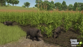 Vredo Pack DLC - Overseeding & Wild Boar Now Available!