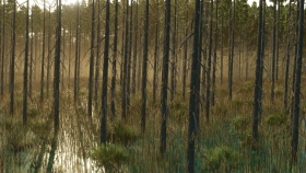 Umbreon Valley Map for FS25