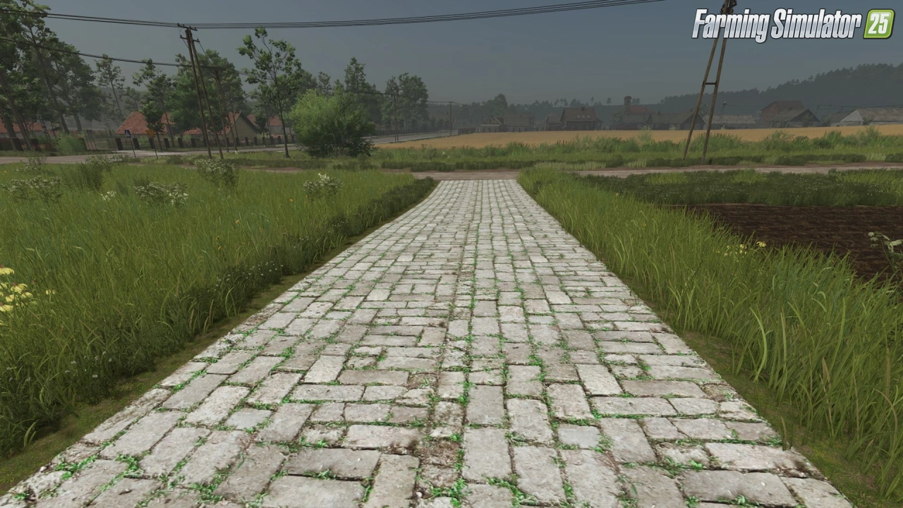 Asphalt and Paved Roads v1.0.0.2 for FS25