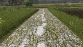 Asphalt and Paved Roads for FS25