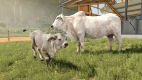 New expansion - Beans & Alpacas are coming to FS25