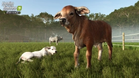 New expansion - Beans & Alpacas are coming to FS25