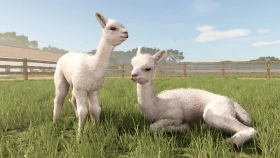 New expansion - Beans & Alpacas are coming to FS25