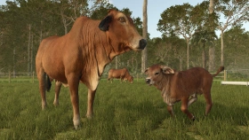 New expansion - Beans & Alpacas are coming to FS25