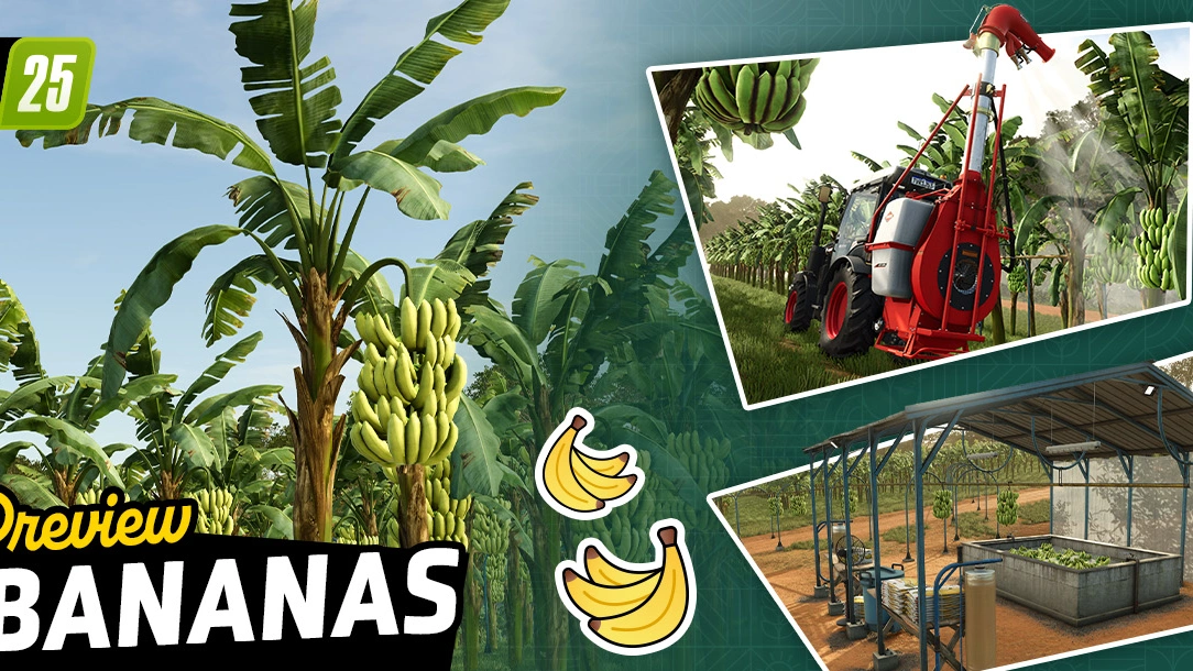 Crop Preview: Bananas | Beans & Alpacas in FS25