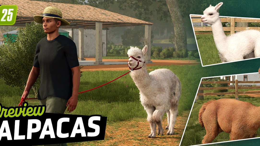 Fluffy Animal Preview: Alpacas | Beans & Alpacas in FS25