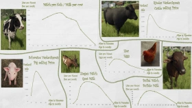 Green Countryside Map for FS25