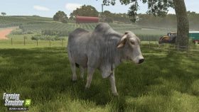 Animal Preview: Brahman Cattle - Beans & Alpacas in FS25