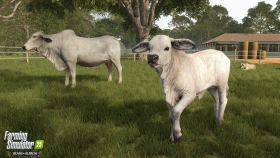 Animal Preview: Brahman Cattle - Beans & Alpacas in FS25