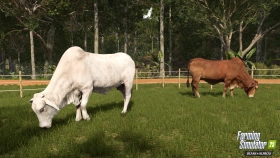 Animal Preview: Brahman Cattle - Beans & Alpacas in FS25