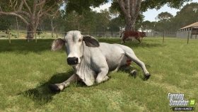 Animal Preview: Brahman Cattle - Beans & Alpacas in FS25