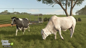 Animal Preview: Brahman Cattle - Beans & Alpacas in FS25
