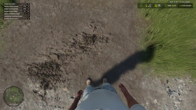 First Person Player Body for FS25