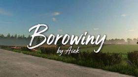 Borowiny Map for FS25