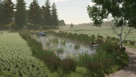 Borowiny Map for FS25