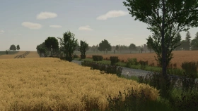 Borowiny Map for FS25