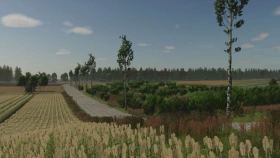 Borowiny Map for FS25