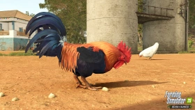 Catuaí Map Preview - Beans & Alpacas Expansion